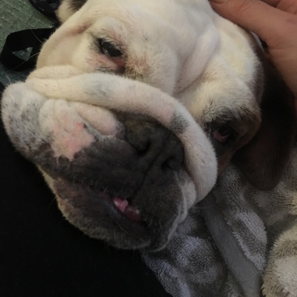 Meet your Posher Ambassador, Darcy - Picture 8 of 8